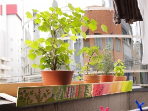 Balcony plant wind protector by sillyhancox