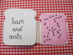 Ham and ANts tactile book