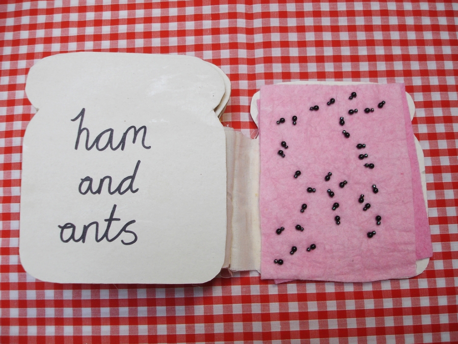 Ham and ANts tactile book 