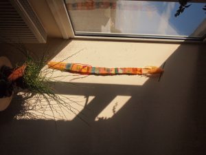 backstrap weaving
